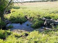 Creek flow in September