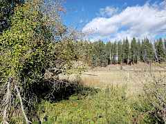 Meadows, pasture and views