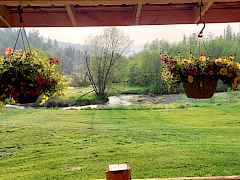 creek view from porch