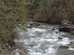 cascade river