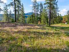 07-694 palmer-chewelah