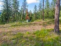 09-694 palmer-chewelah