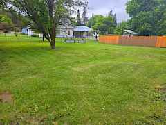 backyard 1
