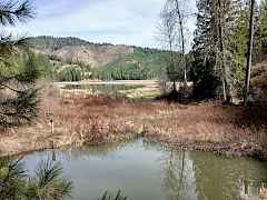 Pond/Lake Pond/Lake
