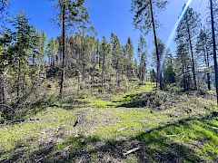 10-IMG_8829 10-IMG_8829