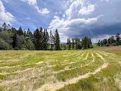 4-IMG_2350 4-IMG_2350