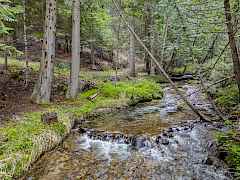 31-2017 clugston-onion crk rd