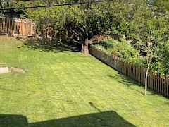 Nice yard areas
