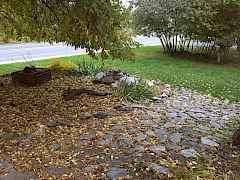 Front Yard NE