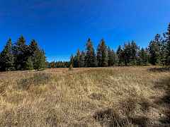 14-IMG_3766 14-IMG_3766