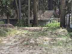 RV SPOT 2