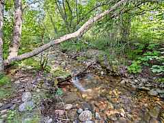 10-nancy creek rd-35 acres 10-nancy creek rd-35 acres