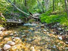 11-nancy creek rd-35 acres 11-nancy creek rd-35 acres