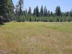 Meadow on West Side Meadow on West Side