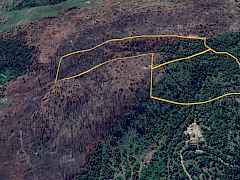 Lot 36 & 37 - Aerial Lot 36 & 37 - Aerial
