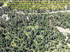 2443 Eagle Lambert Rd-4 2443 Eagle Lambert Rd-4