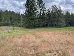 East end of field East end of field