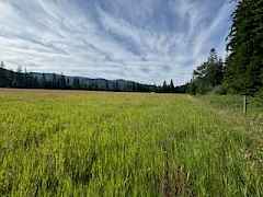 Grass will be baled soon, Grass will be baled soon,