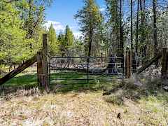 11-web-or-mls-DSC02877 11-web-or-mls-DSC02877