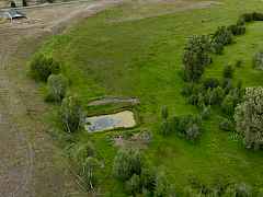NE Corner
