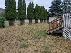 back yard back yard