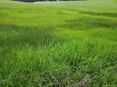 Old Ranch - Lot 2b