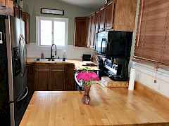 Kitchen Kitchen