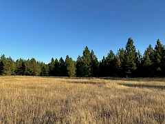 Large Open Spaces Large Open Spaces