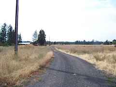 Driveway Driveway