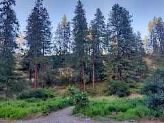 6 - property pic3