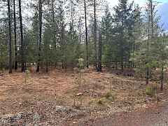 20250401011608061015000000-o