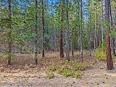 09-xxx couples place-chewelah-wa