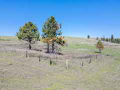 08-inchelium parcels-169 acres