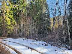Catted Road 3