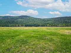 Lush Fertile Ground