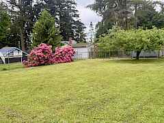 Backyard with amazing apple tree