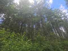 20260604_120051(0)