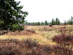 Field