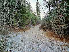 Easier Access Road