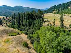 MAX_0008-2