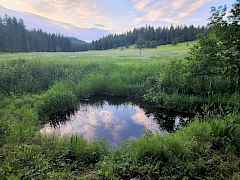 Whittier Creek 2